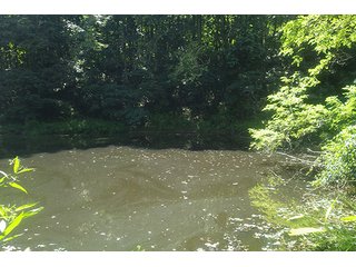 Property photo 1 - LAND AUCTION - 524+/- ACRES OFFERED IN 16 TRACTS IN MEIGS COUNTY, OHIO